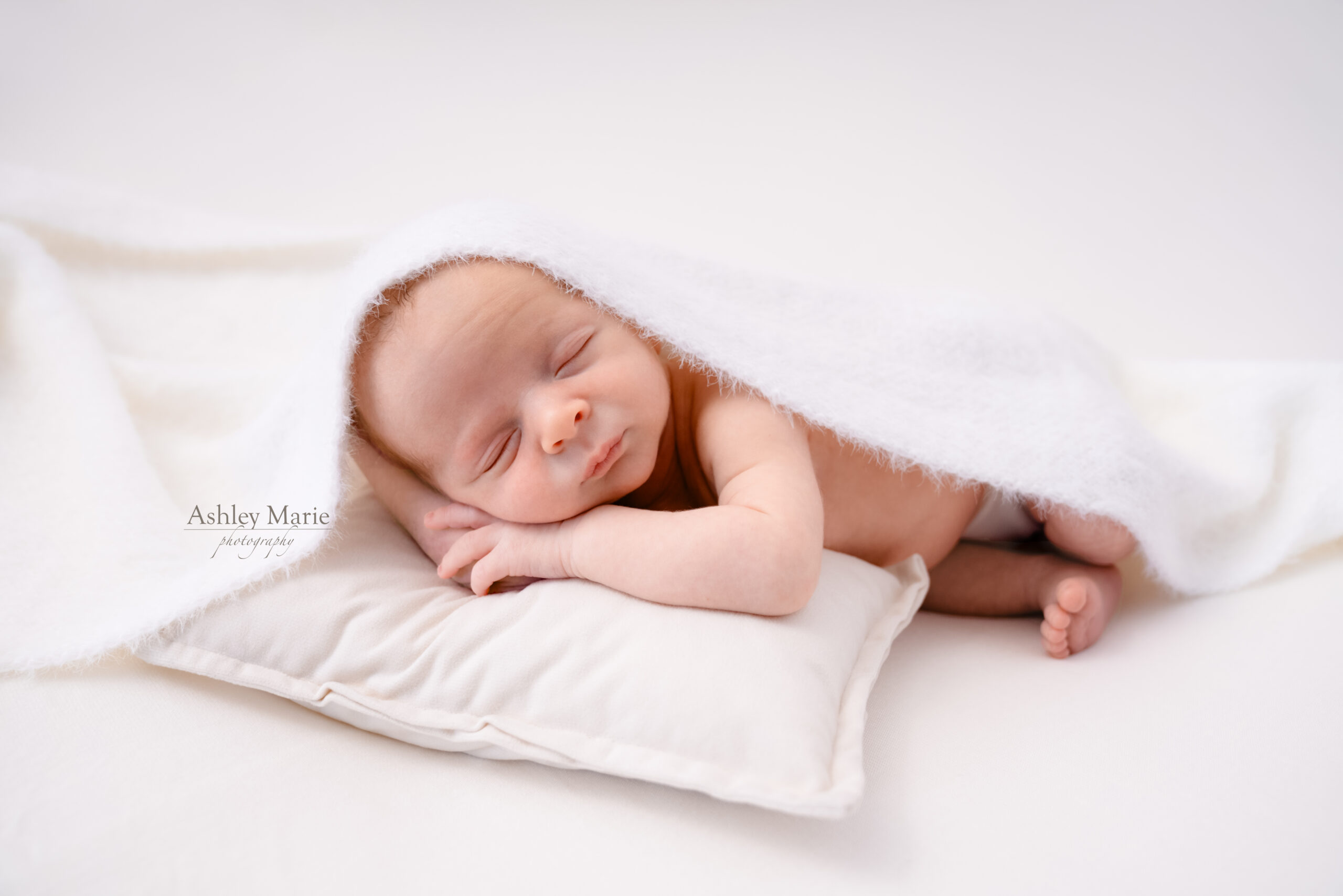Newborn baby in neutral photographed by Schaumburg newborn photographer